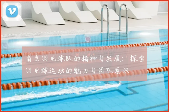 南京羽毛球队的精神与发展:探索羽毛球运动的魅力与团队意识