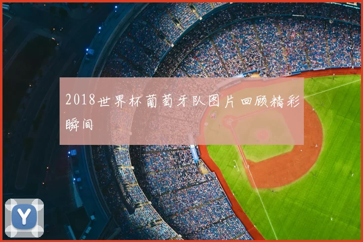 2018世界杯葡萄牙队图片回顾精彩瞬间