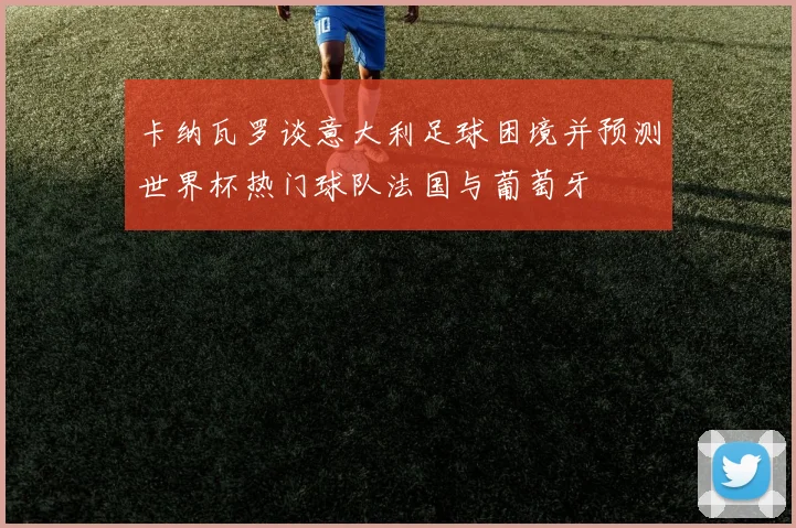 卡纳瓦罗谈意大利足球困境并预测世界杯热门球队法国与葡萄牙