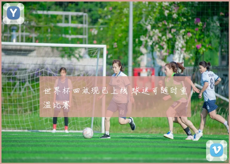 世界杯回放现已上线 球迷可随时重温比赛