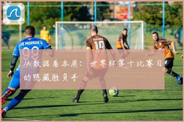 从数据看本质：世界杯第十比赛日的隐藏胜负手