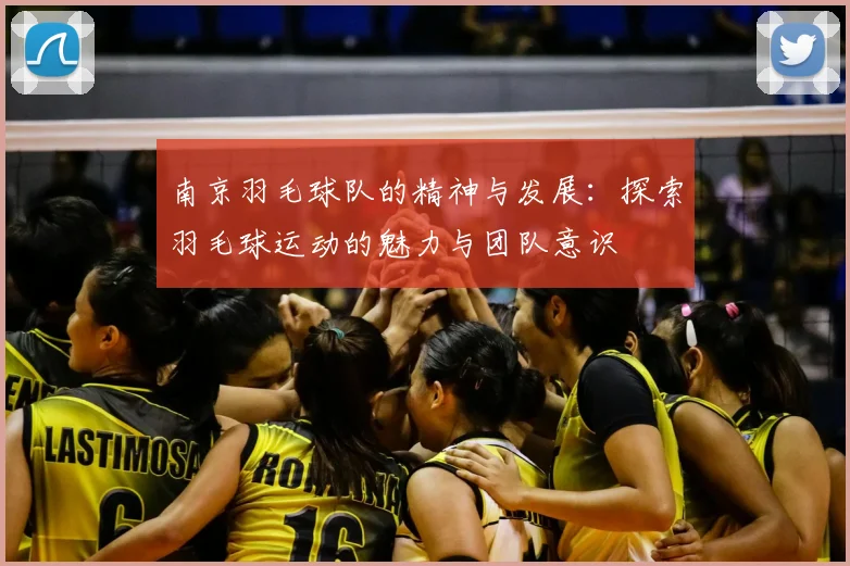 南京羽毛球队的精神与发展:探索羽毛球运动的魅力与团队意识