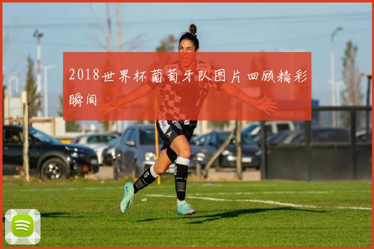 2018世界杯葡萄牙队图片回顾精彩瞬间