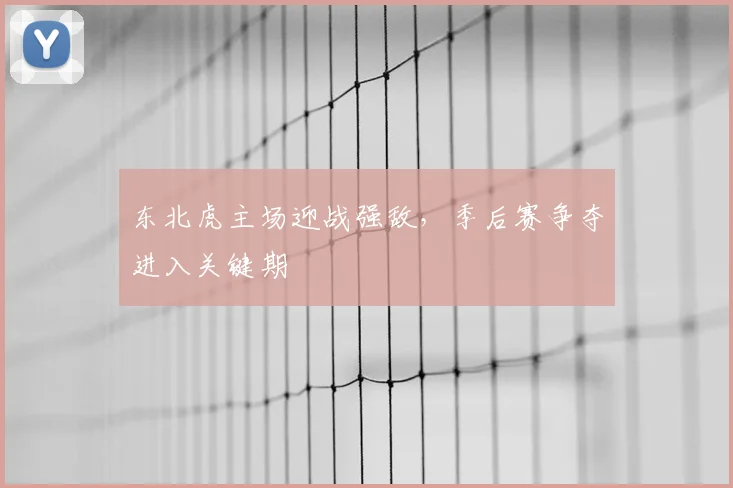东北虎主场迎战强敌，季后赛争夺进入关键期