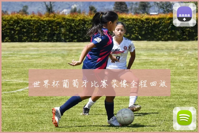 世界杯葡萄牙比赛录像全程回放